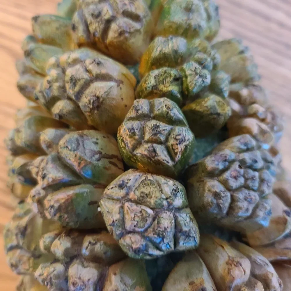 Faux Pineapple Shabby Chic Retro Welcome Hospitality Décor Vintage